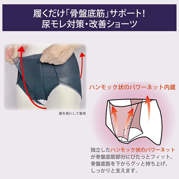 骨盤底筋 ケア ショーツ 30cc 水分ケアショーツ 3178 スタンダード丈 骨盤 パンツ ショーツ レース 骨盤押さえ 補整 補正下着 下着 レディース 女性 大人 インナー ハイウエスト 引き締め 綿 尿漏れ対策 尿モレ 大きいサイズ M L LL おしゃれ 花柄レース インナー