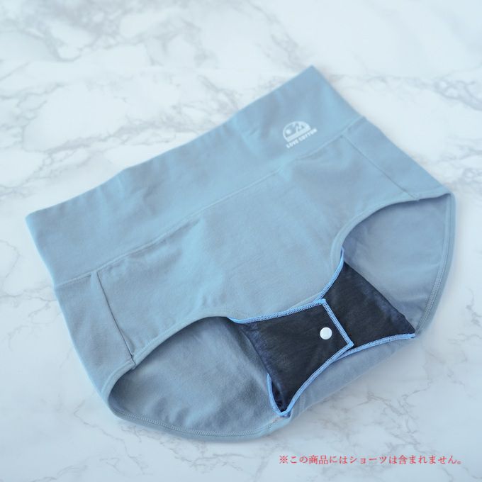  FOLLISSI Lite 吸水 吸水量 70ml ショーツ用 ナプキン ナプキン型 吸水パッド 生理 尿漏れ ケア 下着 多い 日 メッシュ 湿気 水分 漏れ モレ 安心 日本製 抗菌 防水 洗える 繰り返し 何度も 使える 持ち運び 洗濯 可能 吸水パット 尿漏れパット パッド